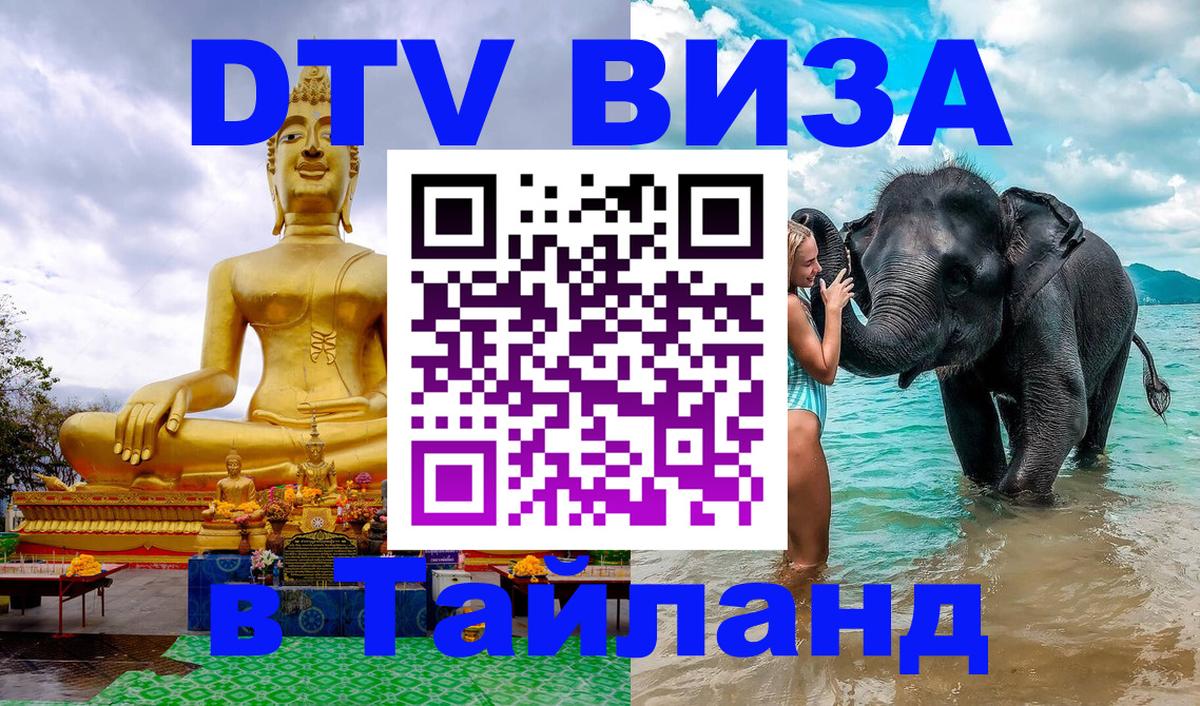 Visa в Таиланд Димитровград 
